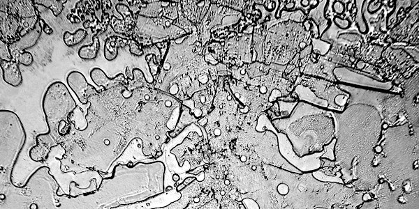 Bodily Matters V Emotive Matter: Blood & Tears
