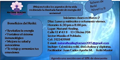 Imagen principal de Taller de Reiki Nivel 1 y 2