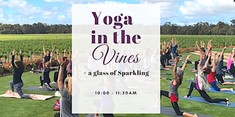 Christmas Special Yoga in the Vines + Sparkling primary image
