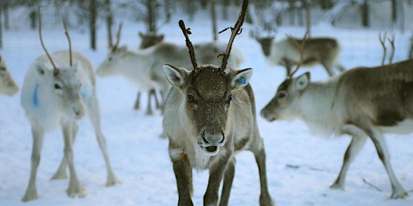 'Magic of Lapland' Nature Tallk
