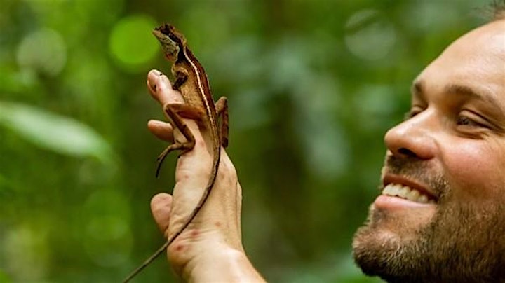 
		Afbeelding van WWF-Livestream  'bewoners van het bos'
