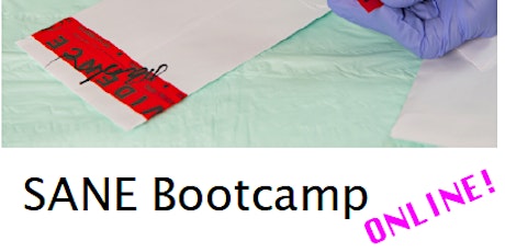 SANE Bootcamp - Online! primary image