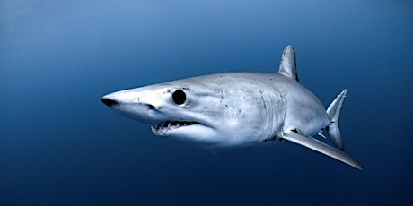 Caught in the middle: Oceanic sharks, climate warming and fishing biglietti