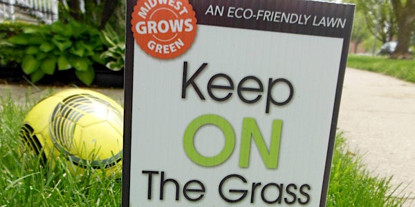 Rehabilitate (or Replace) Your Lawn the Natural Way