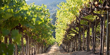 Rancho Cucamonga, CA - Wine Event: Michael Mondavi Presents California and Beyond Special Event via Live Stream primary image