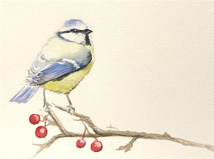 Beginners Watercolours - Birds image