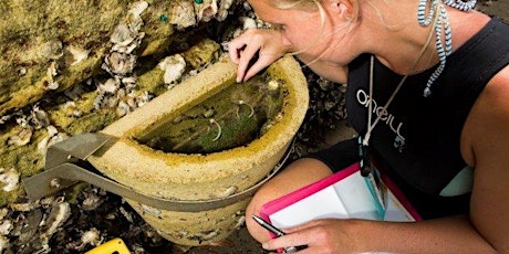 Urban Foreshore Biodiversity Tour primary image