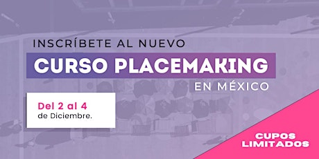 Imagen principal de Curso de Capacitación en Placemaking México