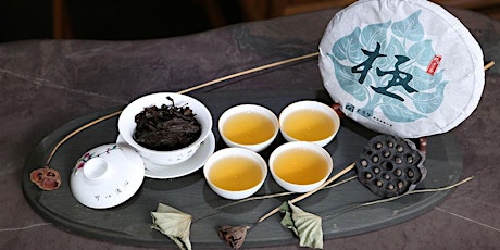 The Launch Event of "Tea for Two: Re-blending Tea between East and West" primary image