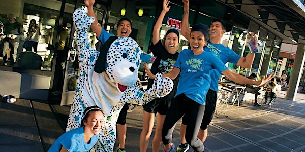 2016 Carlsbad Road Runner Sports Adventure Run