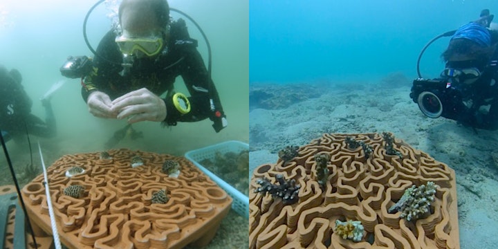 
		Coral reef restoration using 3D printing and advanced eDNA monitoring image
