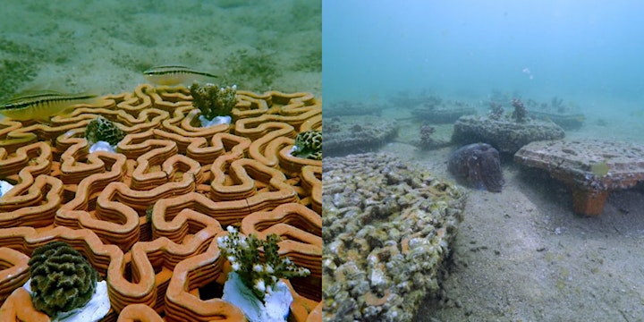 
		Coral reef restoration using 3D printing and advanced eDNA monitoring image
