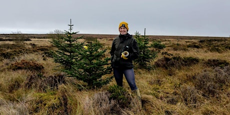Dig your own Christmas Tree on Altikeeragh Bog