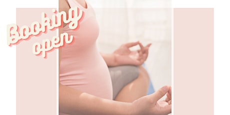 Prenatal Yoga Stepaside primary image