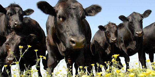 Beef Sustainability Knowledge Summit