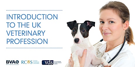 An introduction to the UK veterinary profession - CPD for overseas vets and VNs primary image