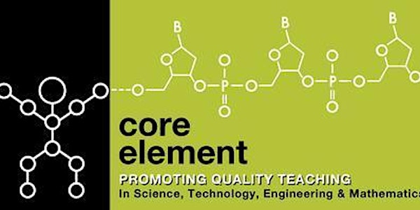 2016 Core Element Summer STEM Institute