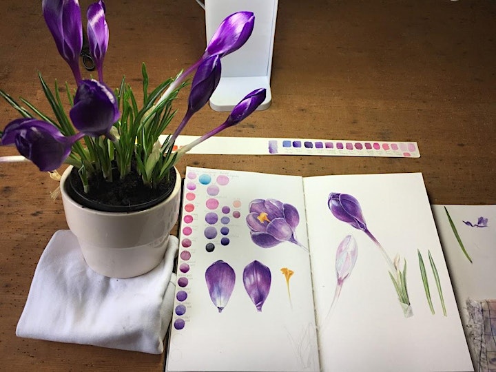 Spring Flowers in Watercolour // A Weekend Workshop image
