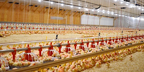 Poultry Farm Management for New & Potential Growers tickets