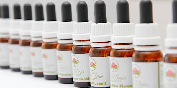 SOL Open Day "Intro to the healing properties of Australian Bush Flowers” by Gillian Harrison