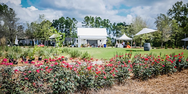 Summers Corner Home and Garden Party