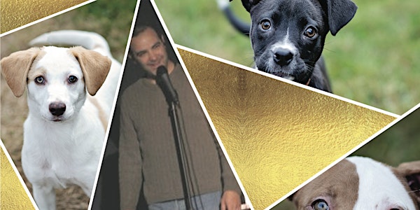 4th Annual Comedy for Canines