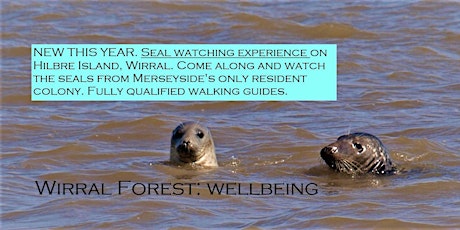 Seal Watching Experience Spring 2022 tickets
