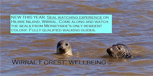 Seal Watching Experience Spring 2022