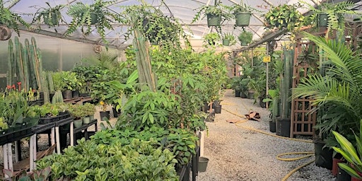 Hauptbild für Greenhouse Growing Tour