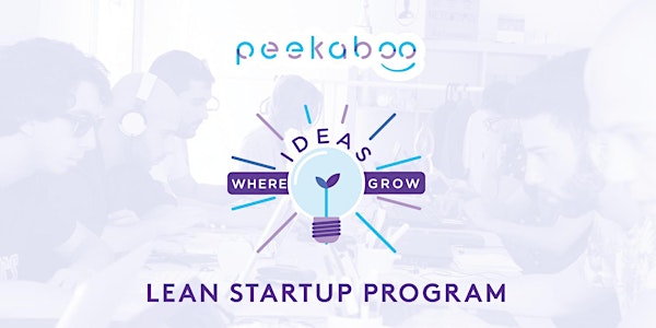 Lean Startup Program