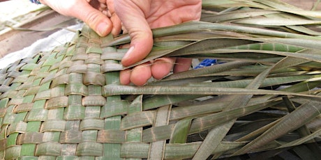 Introduction to Harakeke (Flax) Weaving primary image