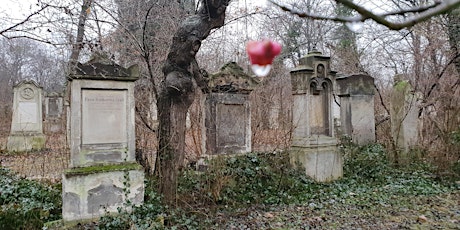 Imagem principal do evento Online-Tour: Der zauberhafte Friedhof von St.Marx