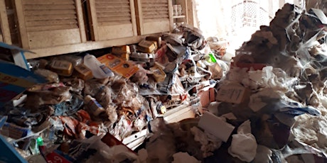 Understanding & Tackling Hoarding in Northern Ireland (Teams invite) primary image