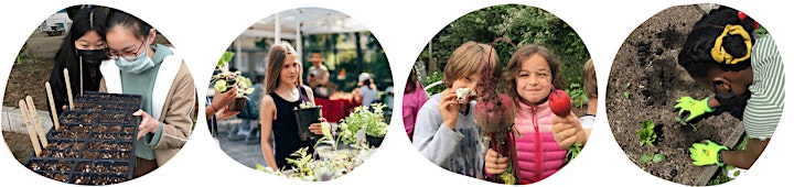 School Garden Mentorship: Establishing a School Garden Culture image