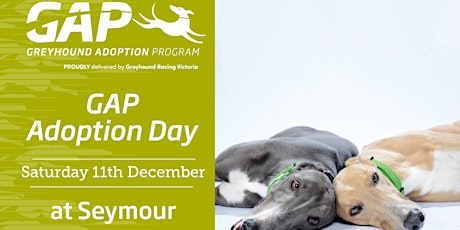 GAP Adoption Day primary image
