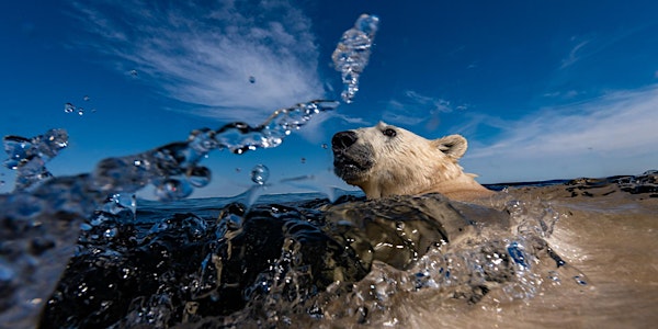 Wildlife Photographer of the Year | Museum Admission