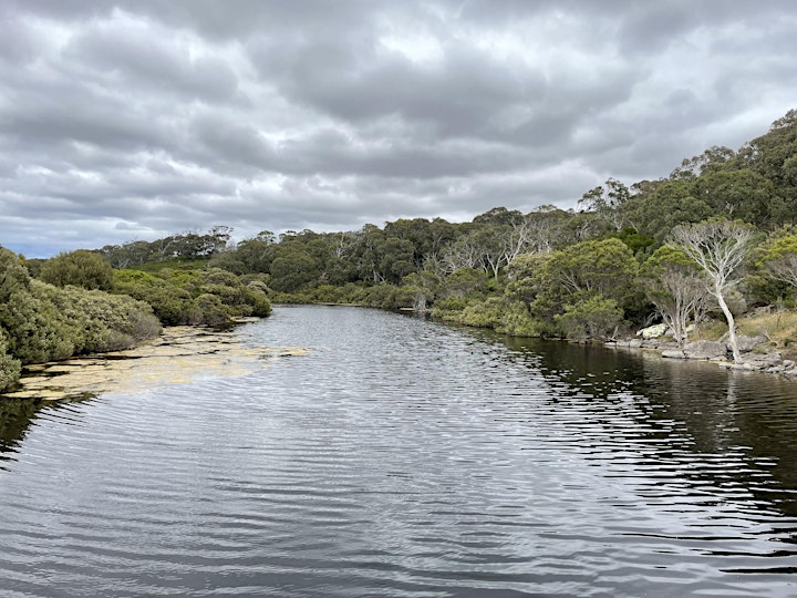 
		Ranger-guided River to the Sea Ramble in Lashmar Conservation Park image
