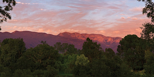 The Great Jane Retreat