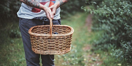 Willow Basketry Weekend tickets