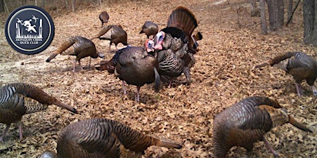 Monquin Creek 2016 Spring Turkey Youth Hunt primary image