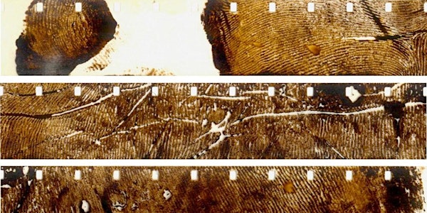 16mm Filmmaking Workshop with BEEF: The Animated Ground Meets the Film Stri...