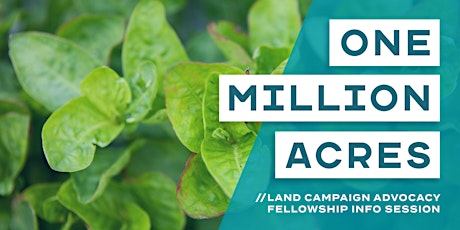 Land Campaign Advocacy Fellowship Info Sessions