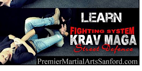 Ladies Self Defense Krav Maga Class primary image