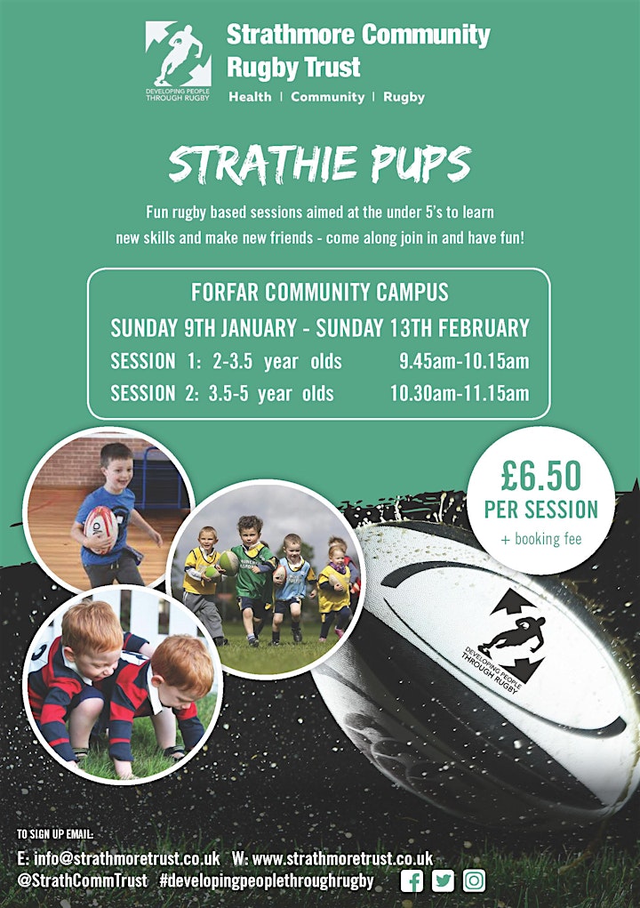 
		Strathie Pups  - January sessions image
