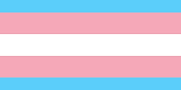 Domestic Abuse and the Transgender, Non Binary and Gender Queer Community