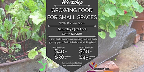 Growing Food For Small Spaces primary image