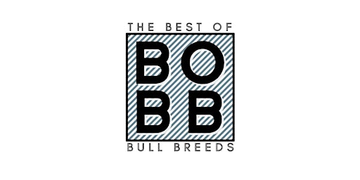 The Best of Bull Breeds Show