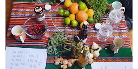 Winter Medicine and Foraging Workshop - all materials included tickets