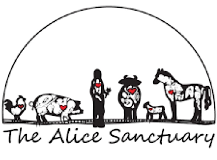 
		A Vegan Holiday dinner at The Alice Sanctuary image
