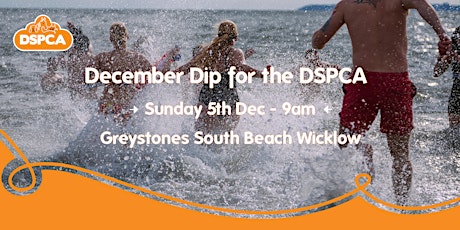 December Dip for the DSPCA